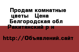 Продам комнатные цветы › Цена ­ 500 - Белгородская обл., Ракитянский р-н  »    